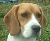 :: AISHA Makaveli ::