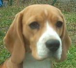 :: BRENDA Makaveli ::