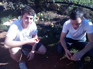 Foto Erasmus+, 900 kB