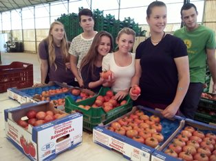 Foto Erasmus+, 900 kB